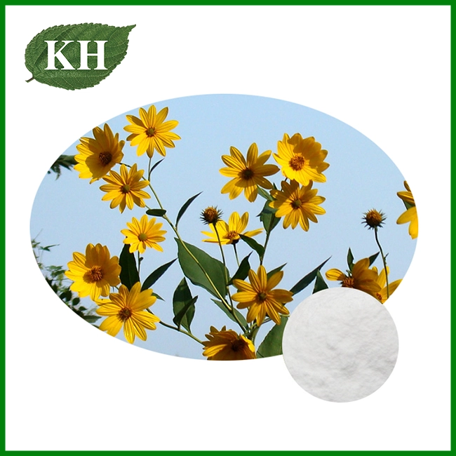 Jerusalem Artichoke Extract Jerusalem Artichoke Extract